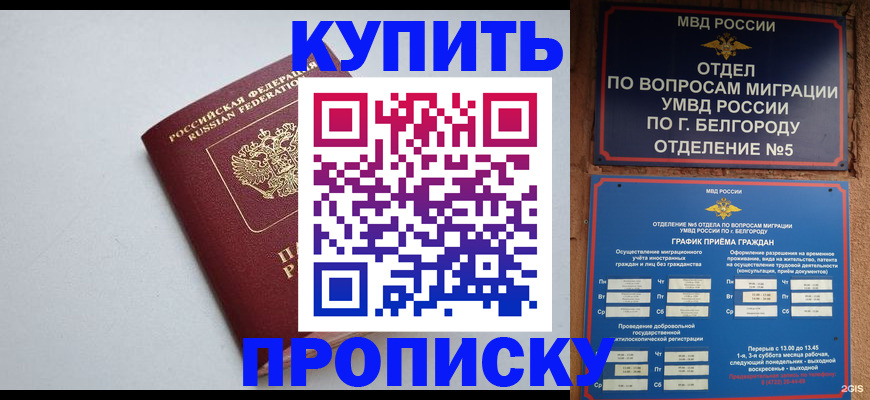 прописка регистрация в Ивантеевке